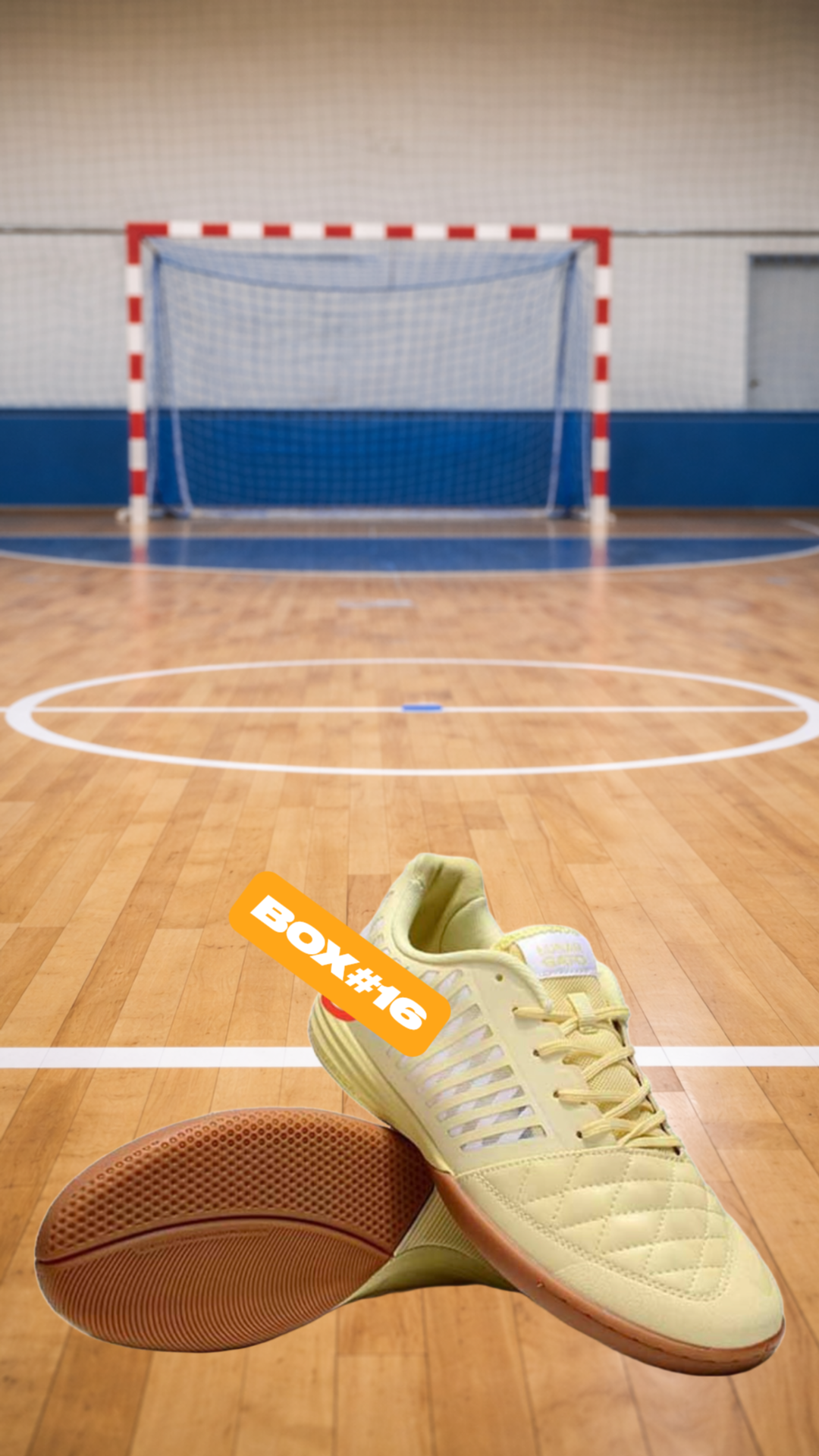 1.0 BASKET FUTSAL