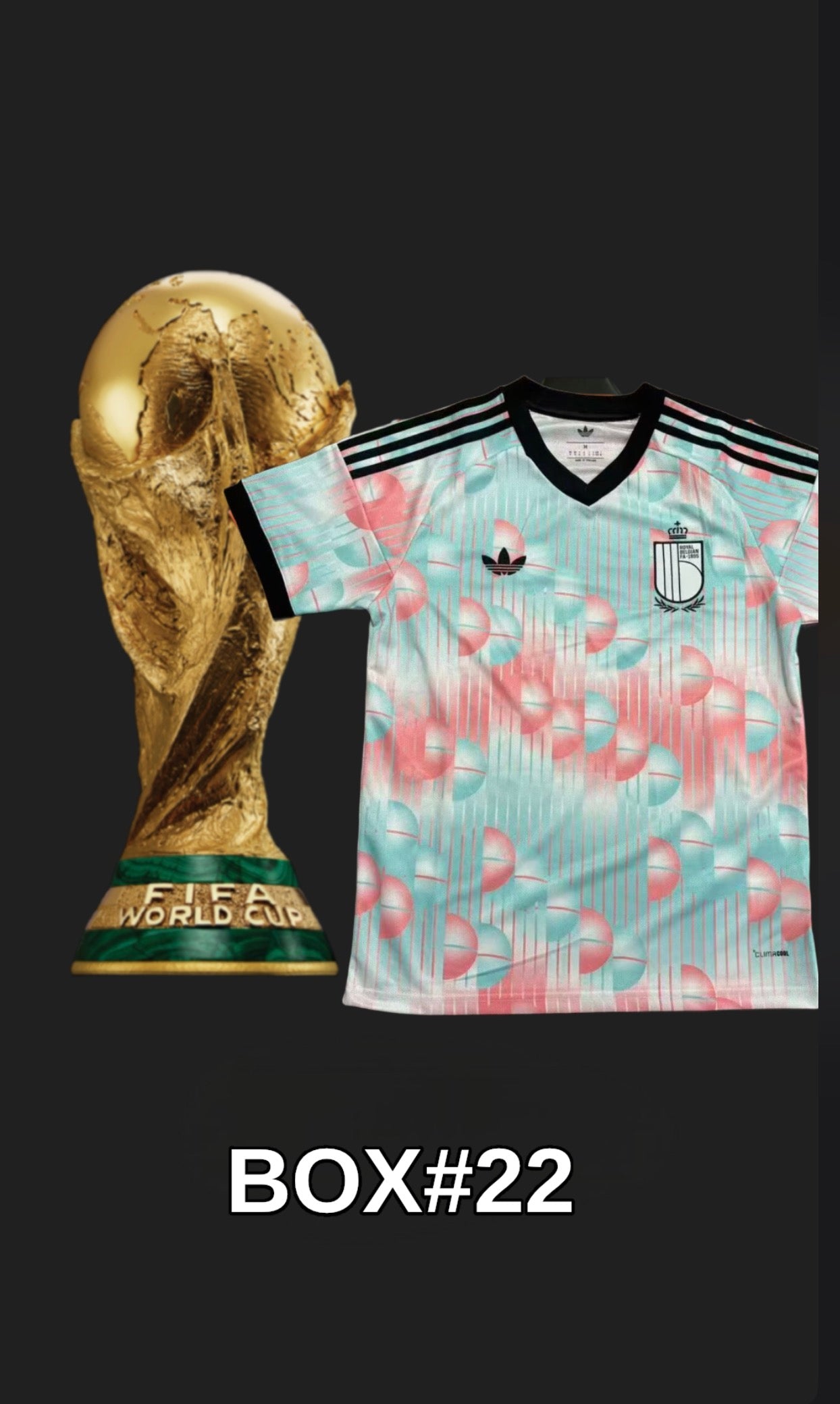 1.1 MAILLOTS DE FOOT COUPE DU MONDE