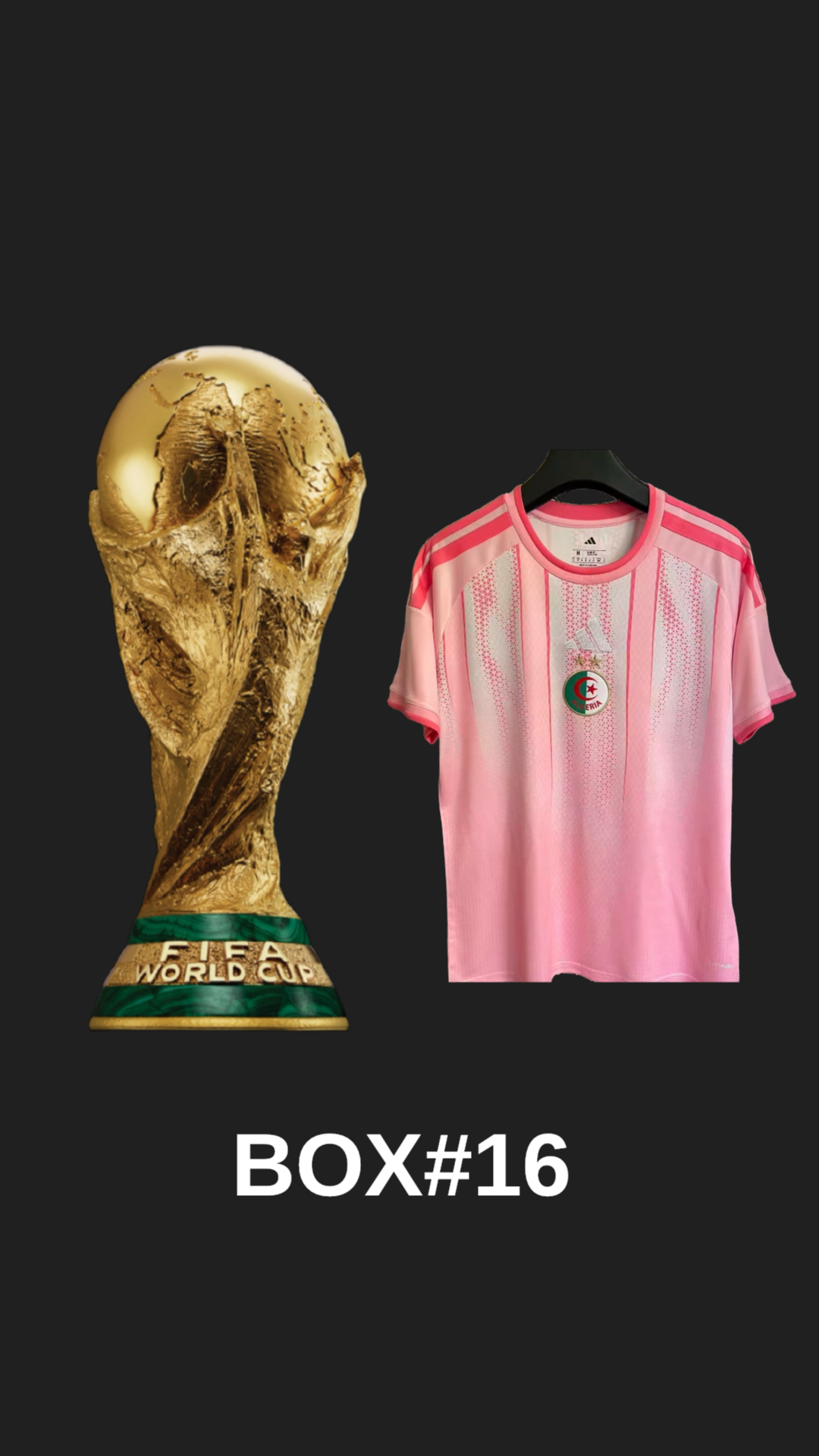 1.1 MAILLOTS DE FOOT COUPE DU MONDE