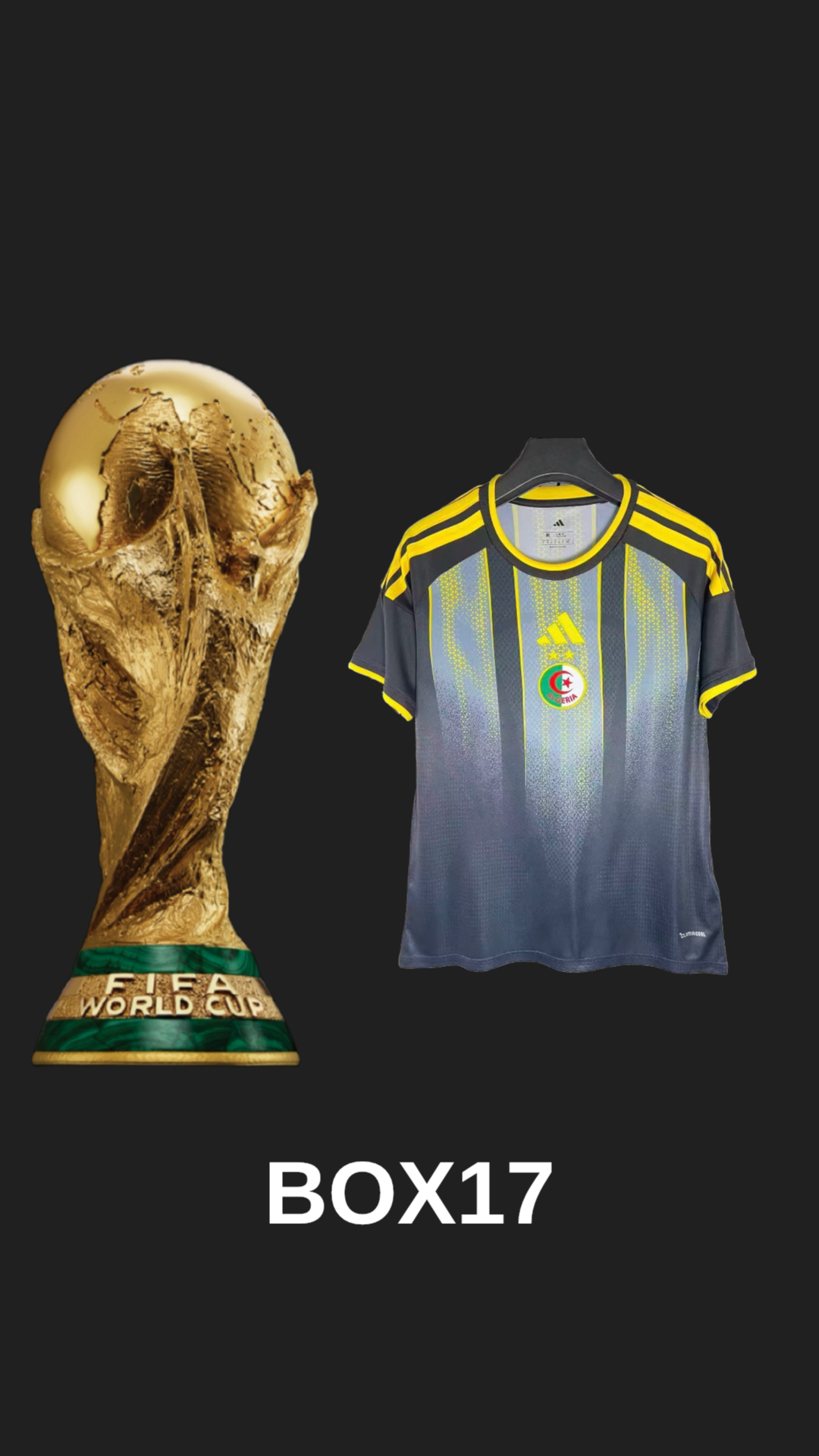 1.1 MAILLOTS DE FOOT COUPE DU MONDE