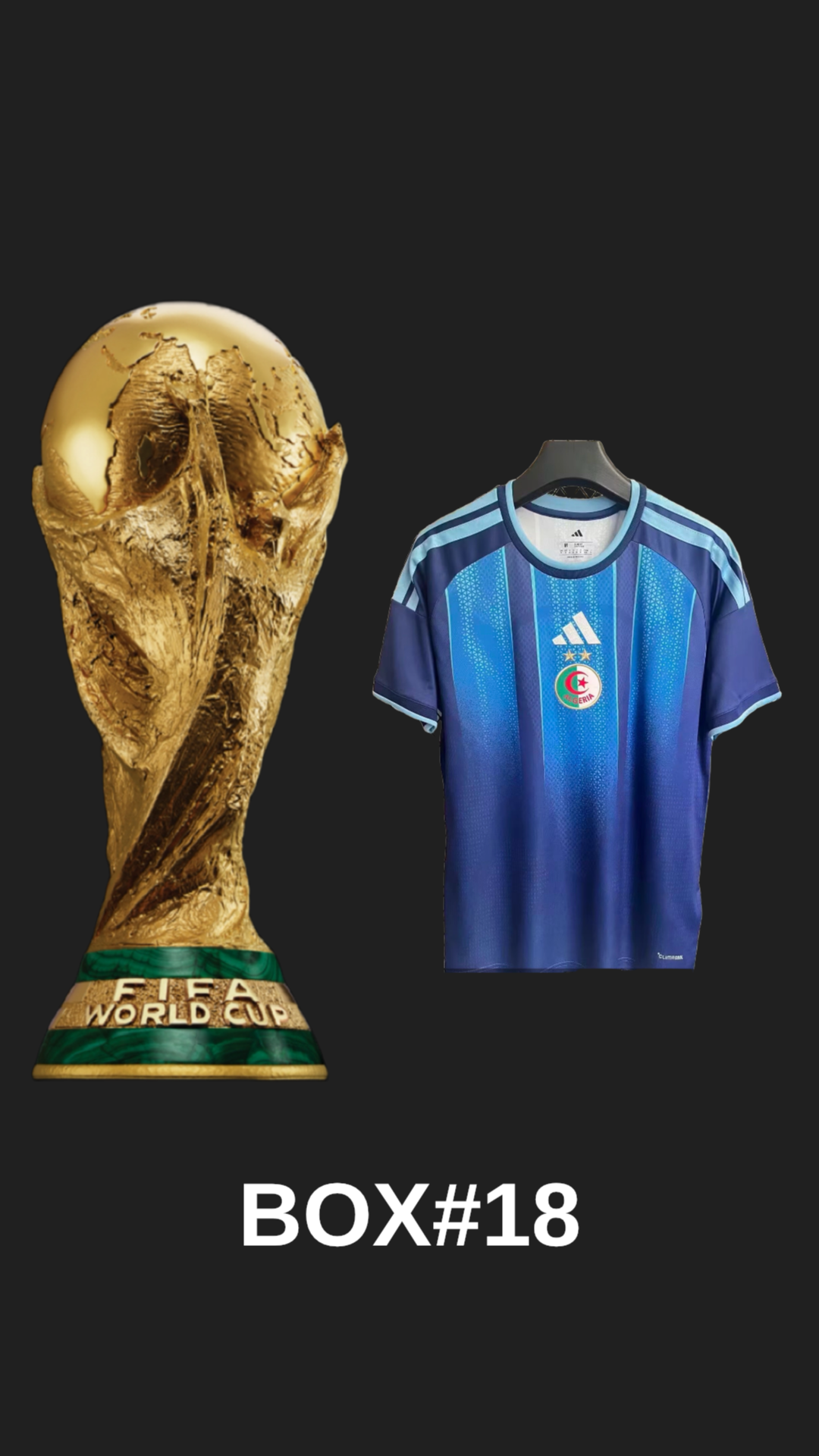 1.1 MAILLOTS DE FOOT COUPE DU MONDE