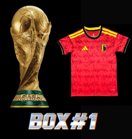 1.1 MAILLOTS DE FOOT COUPE DU MONDE