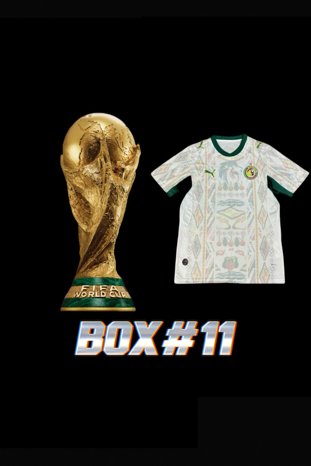 1.1 MAILLOTS DE FOOT COUPE DU MONDE